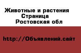  Животные и растения - Страница 5 . Ростовская обл.